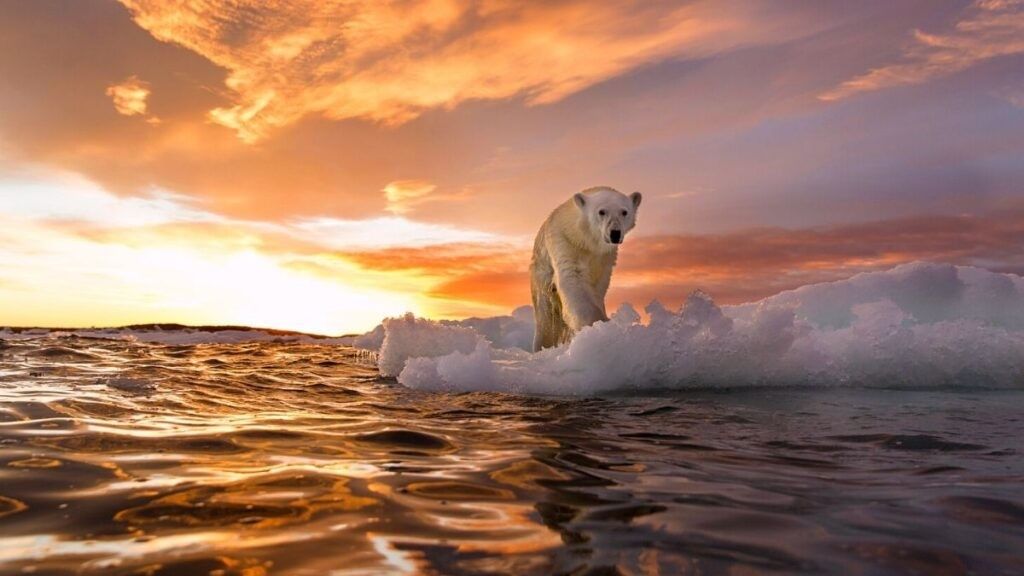 Untitled design 46 1024x576