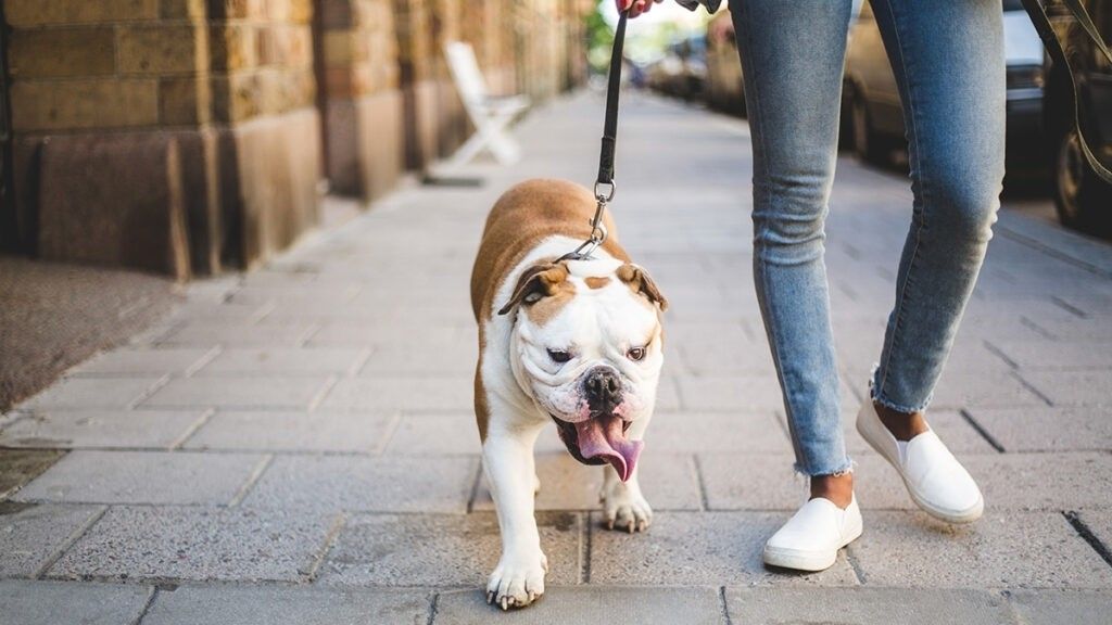 how to make extra money from home