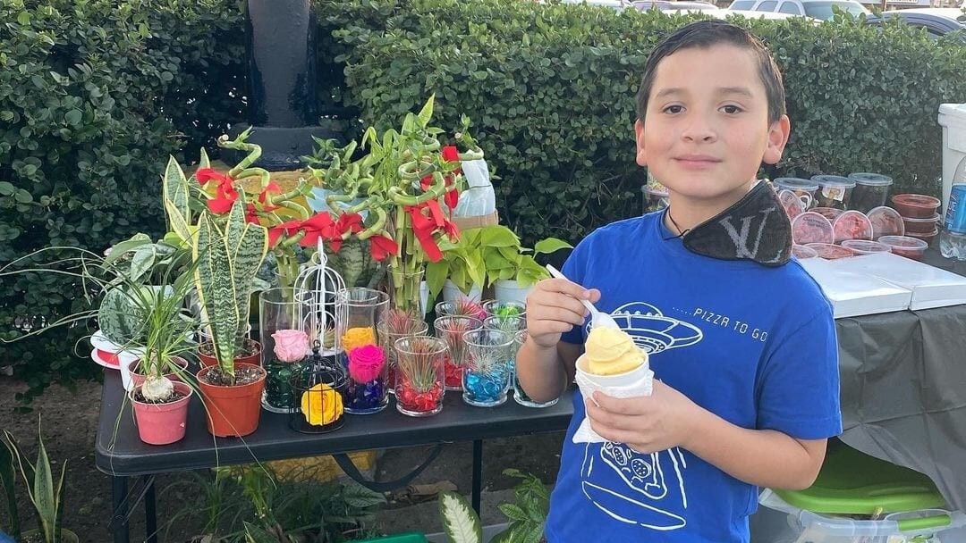 little boy in blue shirt standing with some plants