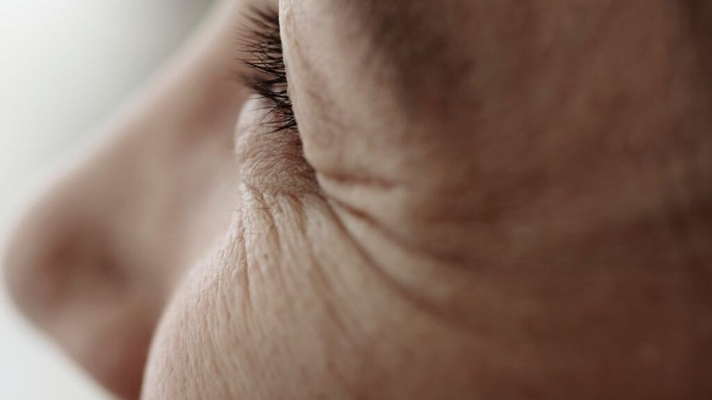 Closeup side view of eye and nose