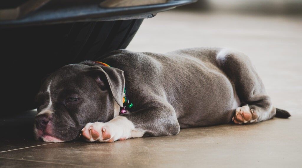 Bullying in children 1 1024x571