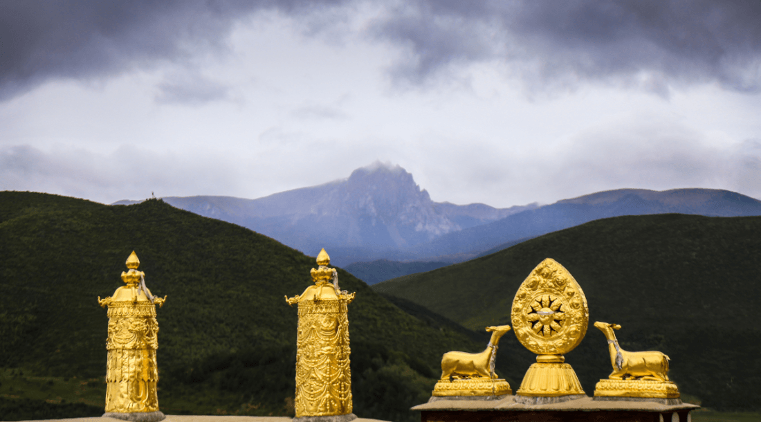 buddhist wheel of dharma