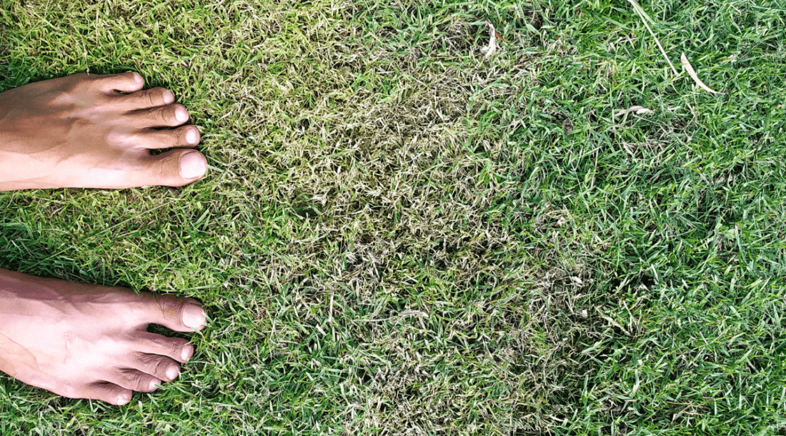bare feet on grass