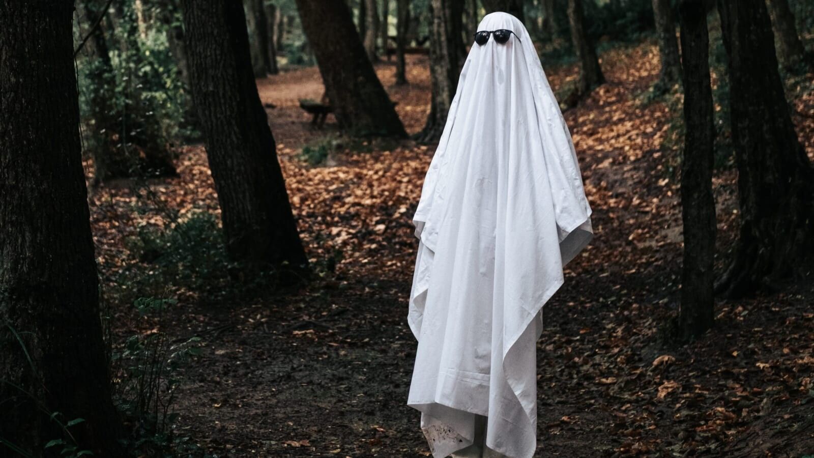 person wearing a white sheet and sunglasses dressed as a ghost in a forest