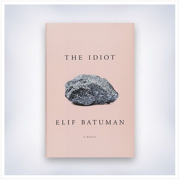 the-idiot-book