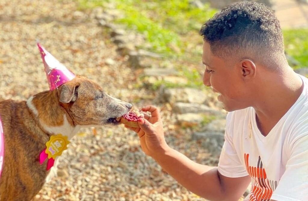 242448752 545954739830410 1371434613579294246 n 3 1024x668