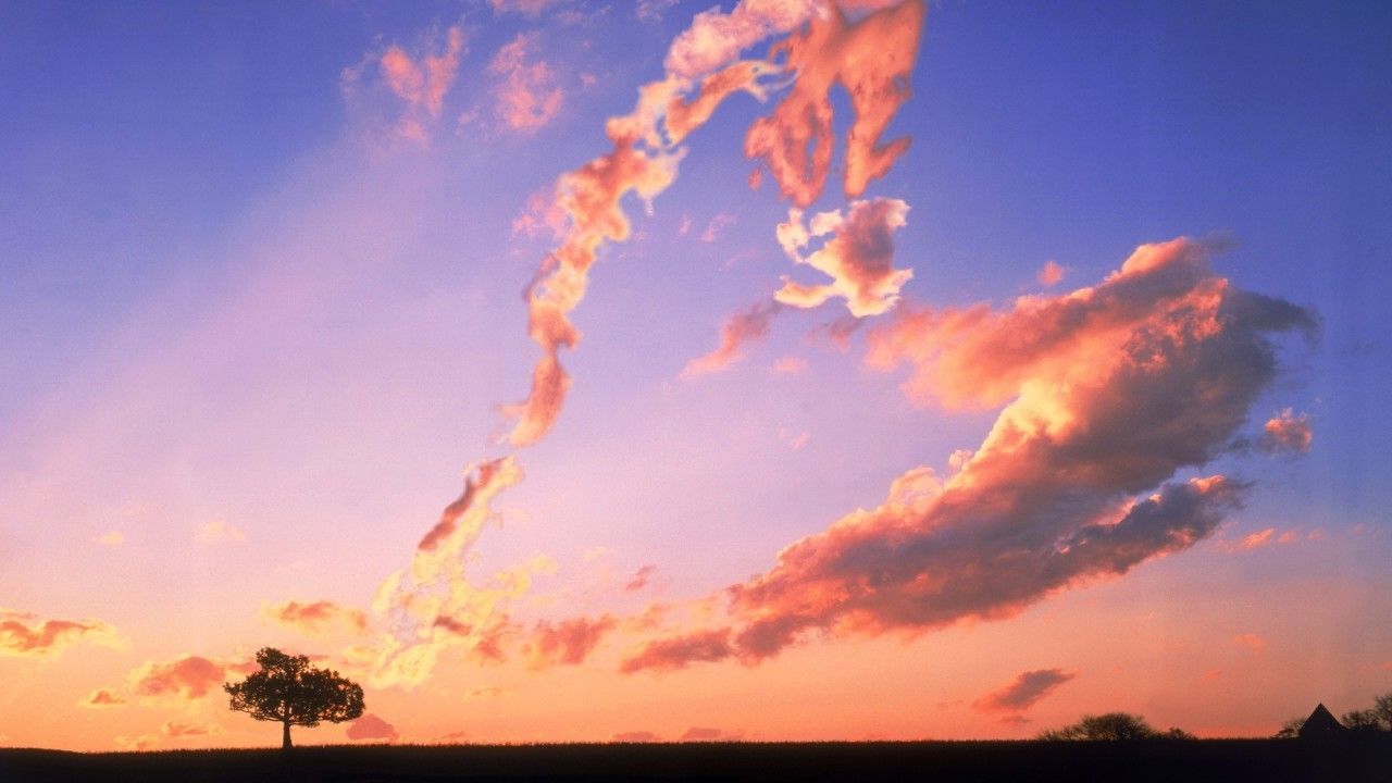 Where Has The Love Gone?