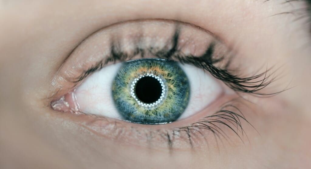 close up of an eye