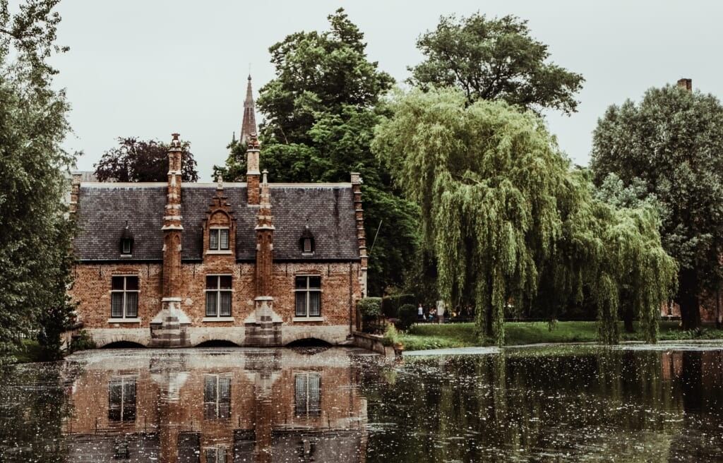 Maria teneva lyncdlhs pg unsplash 1024x656