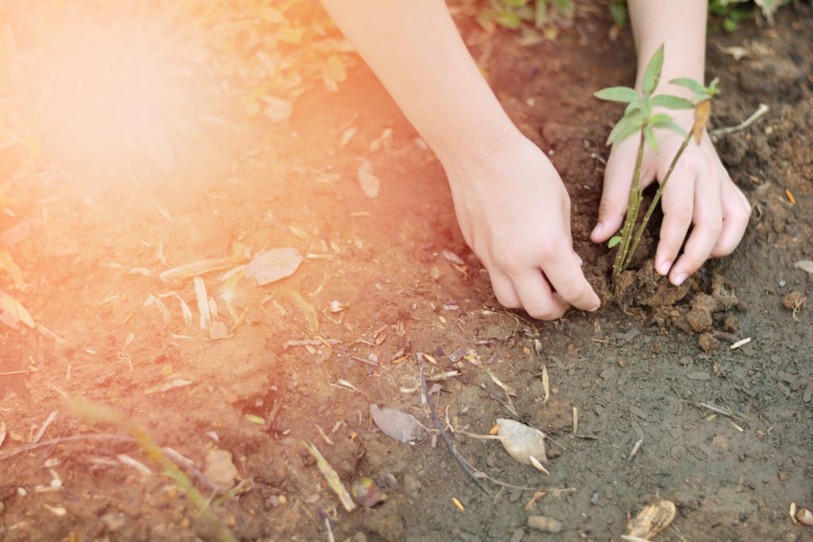 8 Things They Definitely Should Have Taught You in School