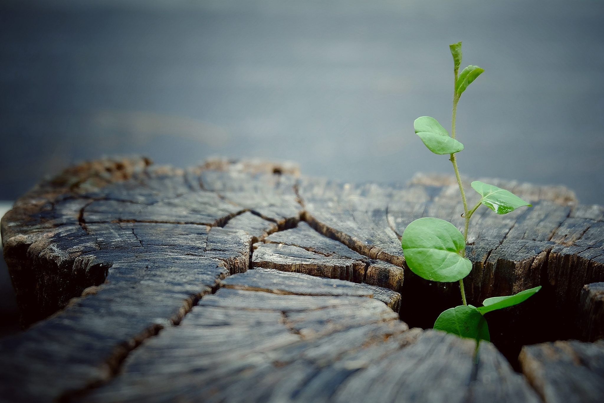 Find your new beginning