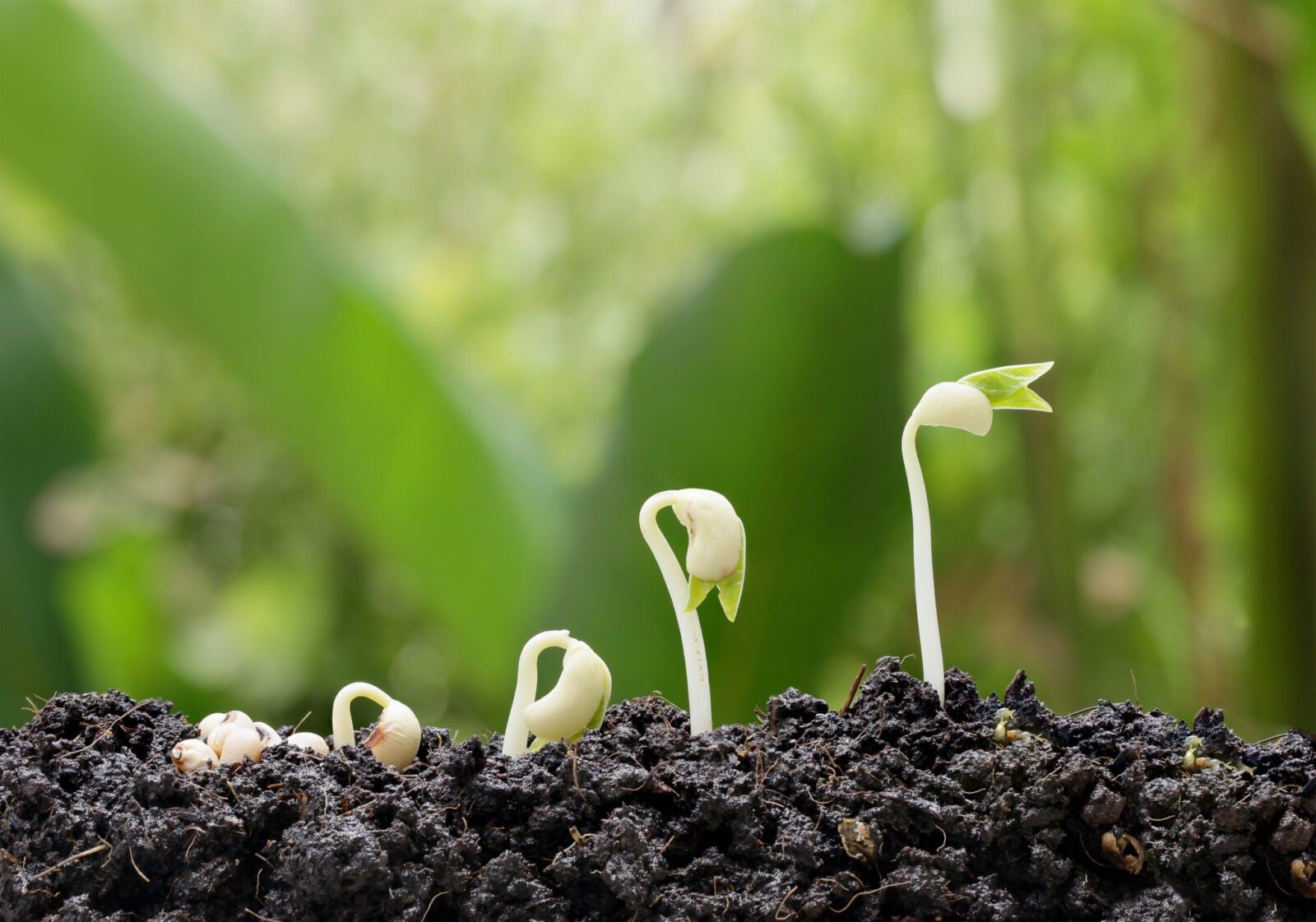 The Psychology of Habits: How to Become a Master of Change