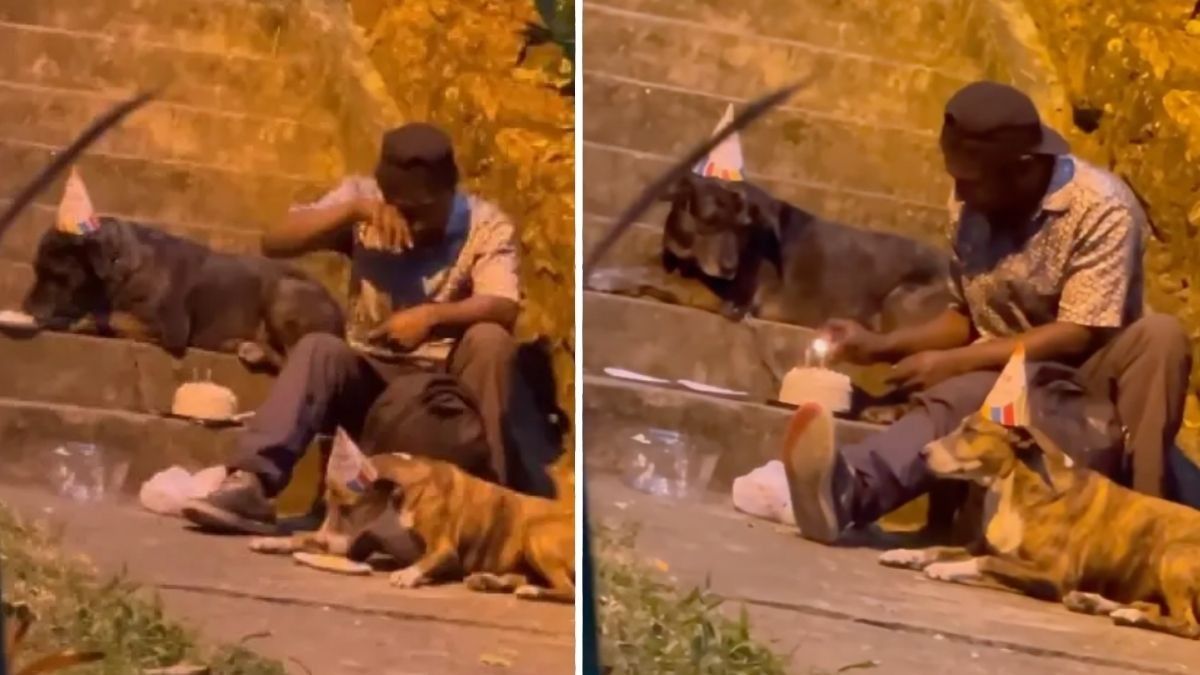 Homeless Man Caught Giving His Dogs a Birthday Party - His Neighbors Step in and Change His Life