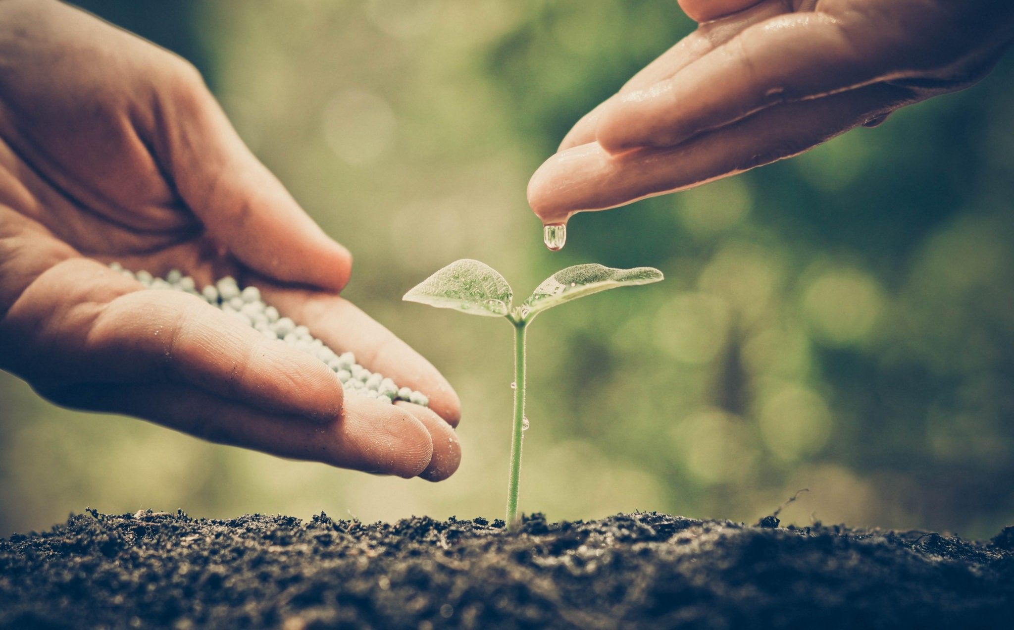 Help Any Way You Can (and You Always Can)