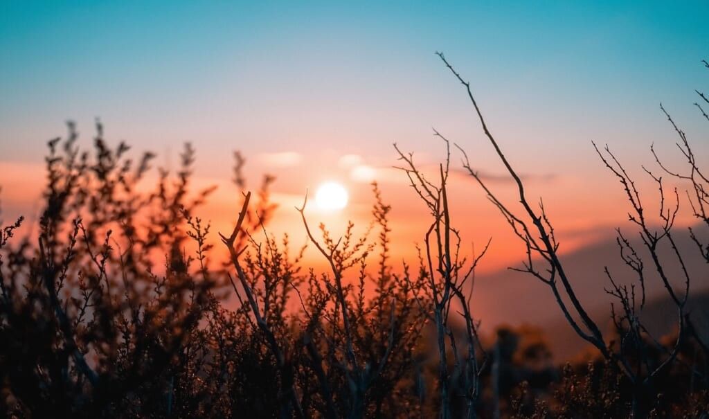 beautiful sunrise in nature