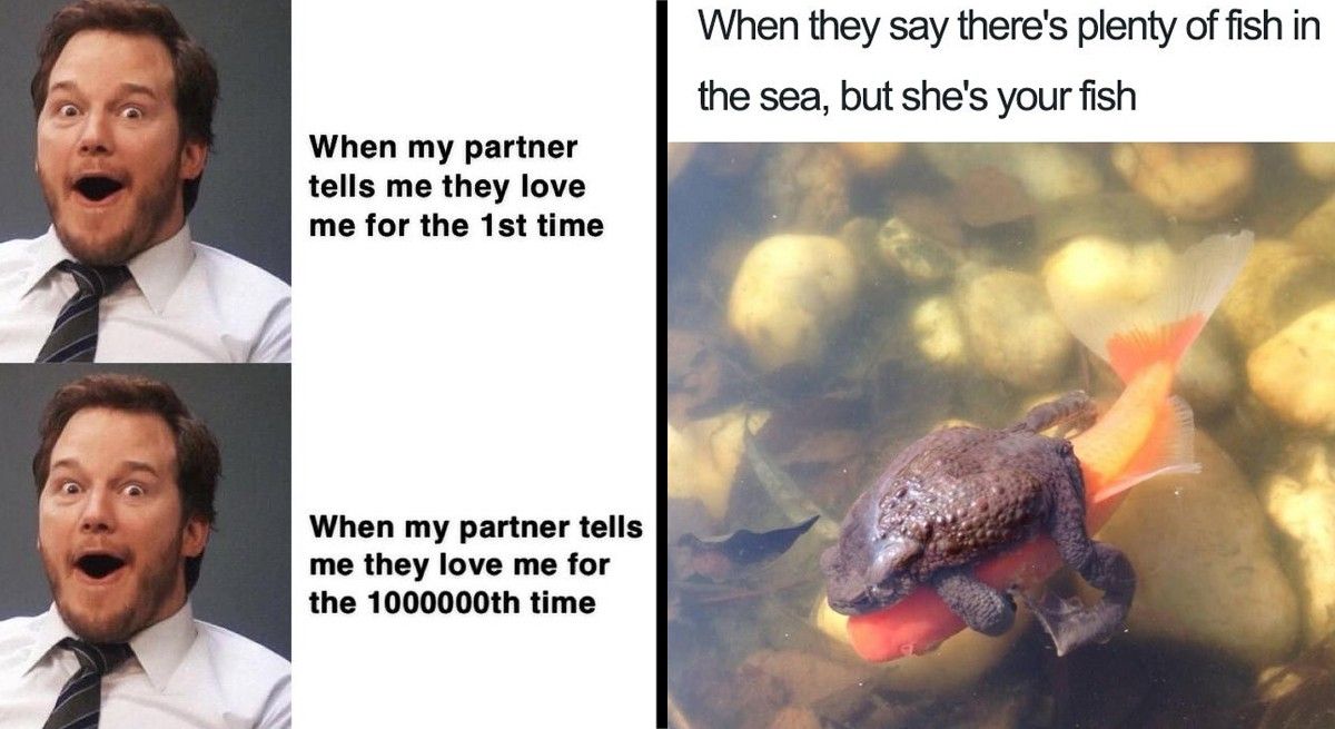 24 Relatable Relationship Memes to Make You Fall In Love (Again) With Your Significant Other