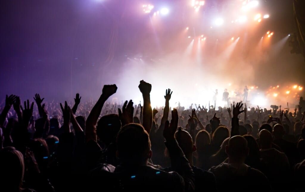 hordes of people enjoy concert