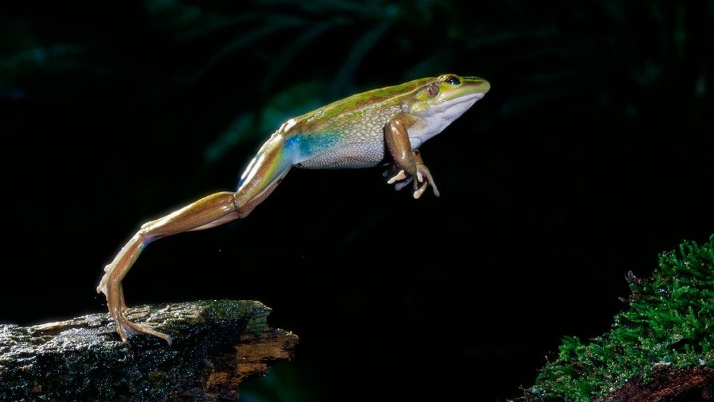 what is time management