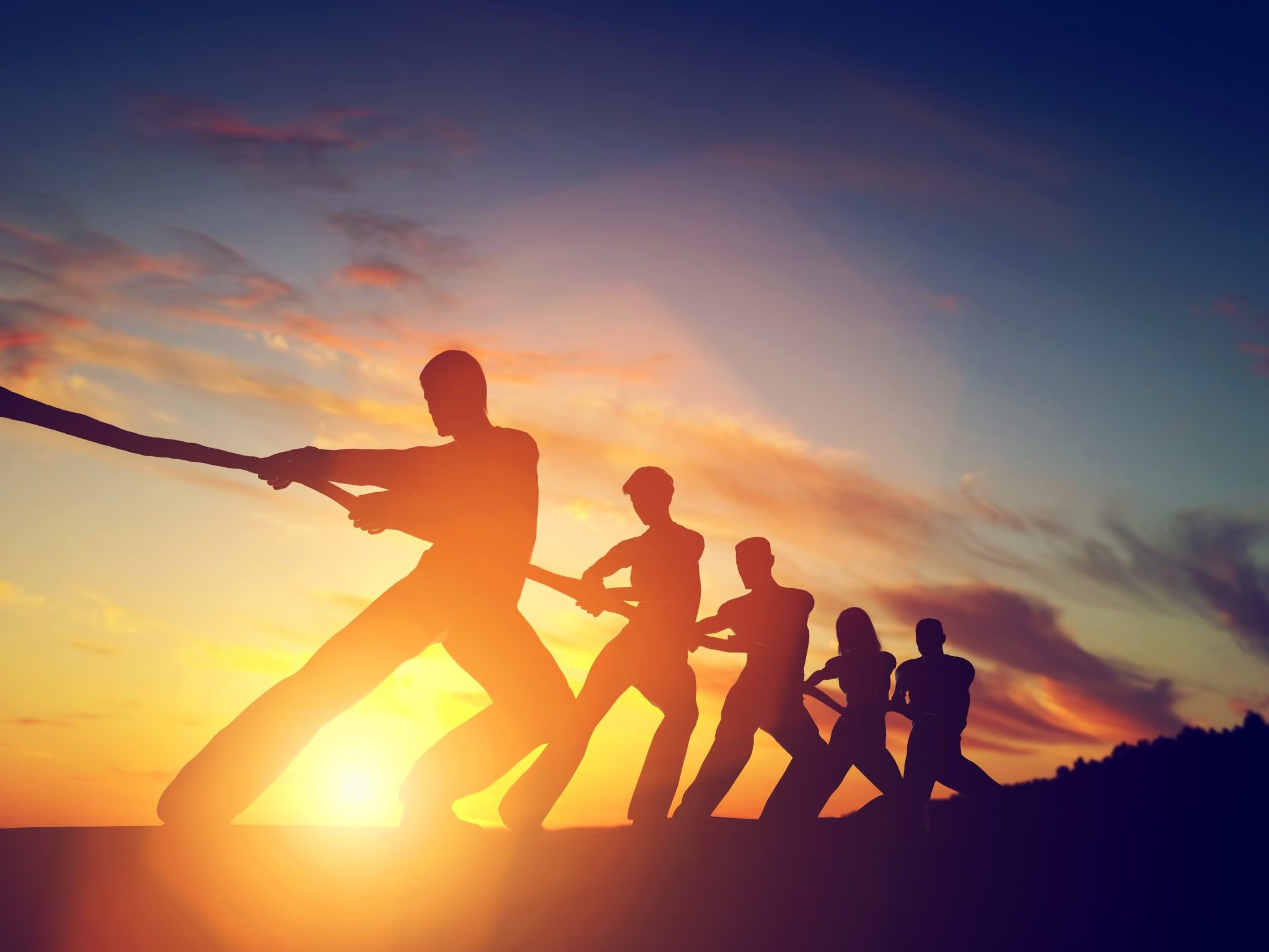 How to build a high-performance company culture