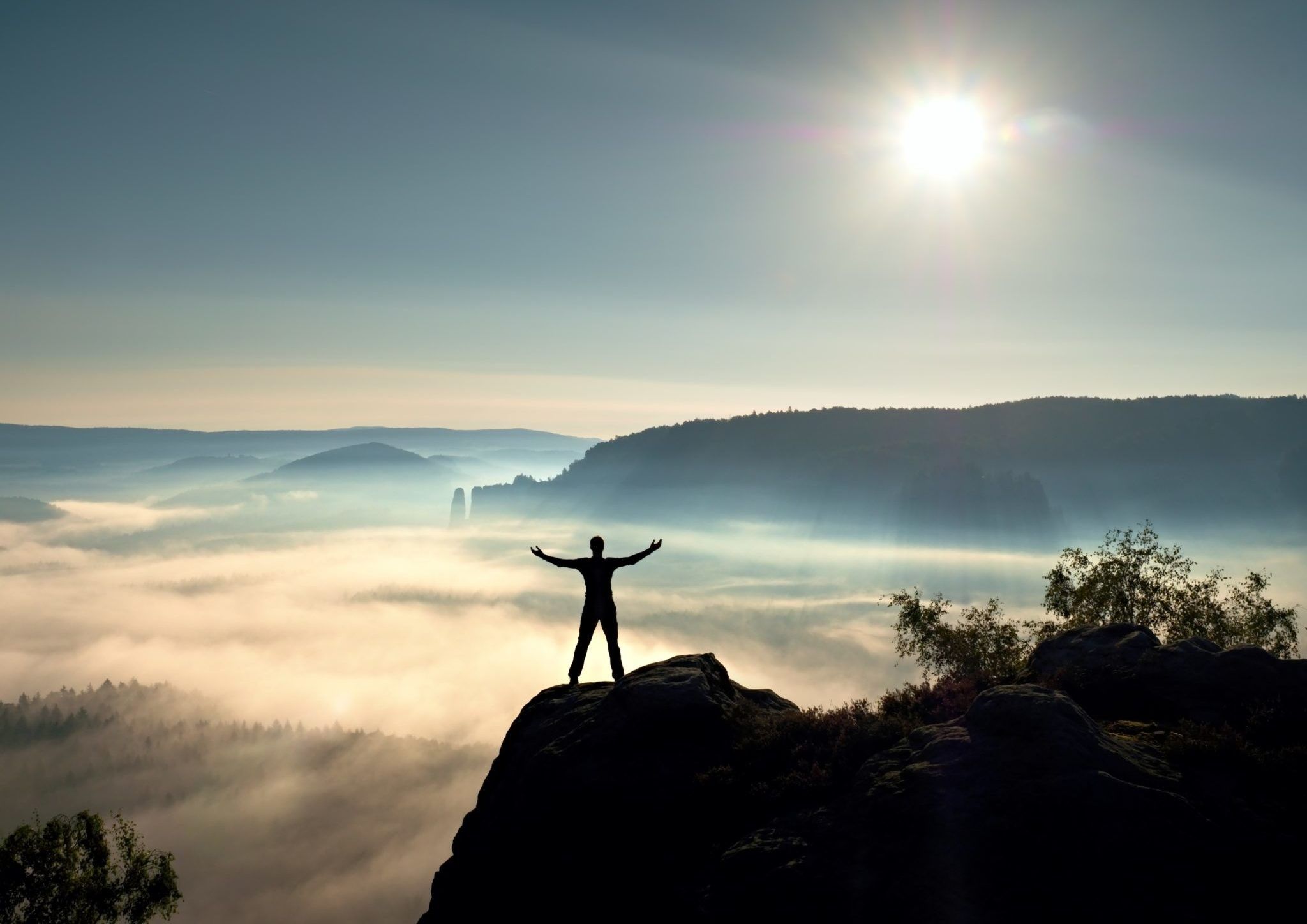 Your dreams will propel you through adversity and struggles