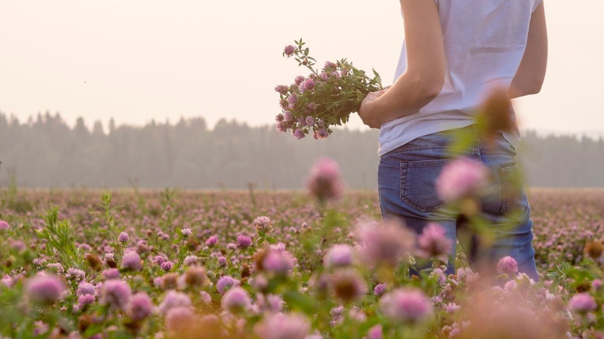 Logotherapy: A Complete Guide to This Powerful Framework for Growth