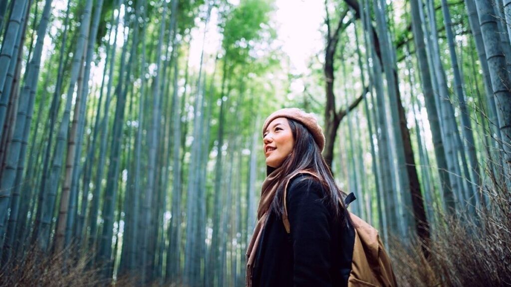 meditation for beginners