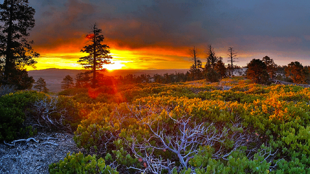 Photo by Photoholgic on Unsplash