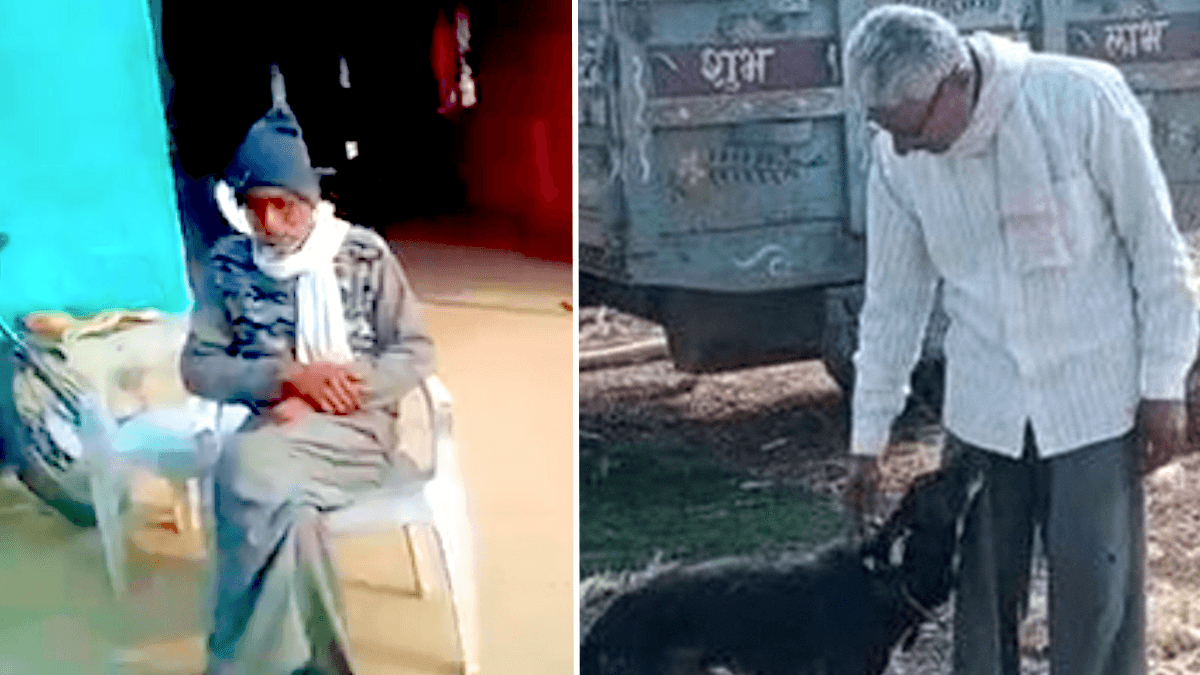 Man Disinherits His Children and Leaves Half His Fortune to His Dog Instead - Here’s Why He Came to This Decision