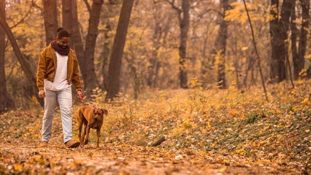 habits of successful people