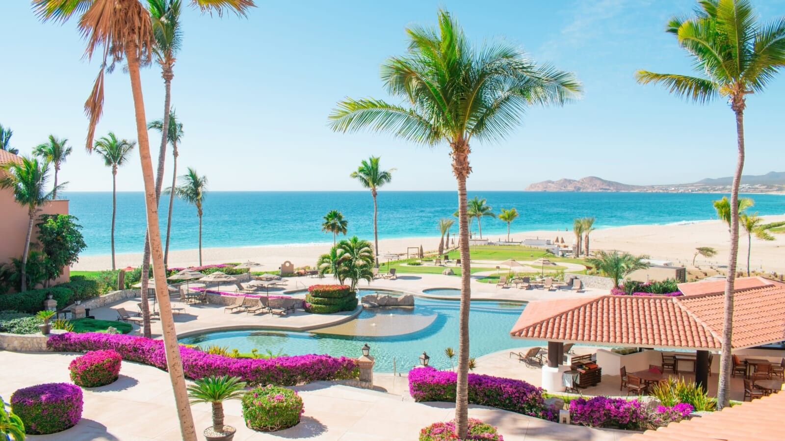 resort with a pool and palm trees