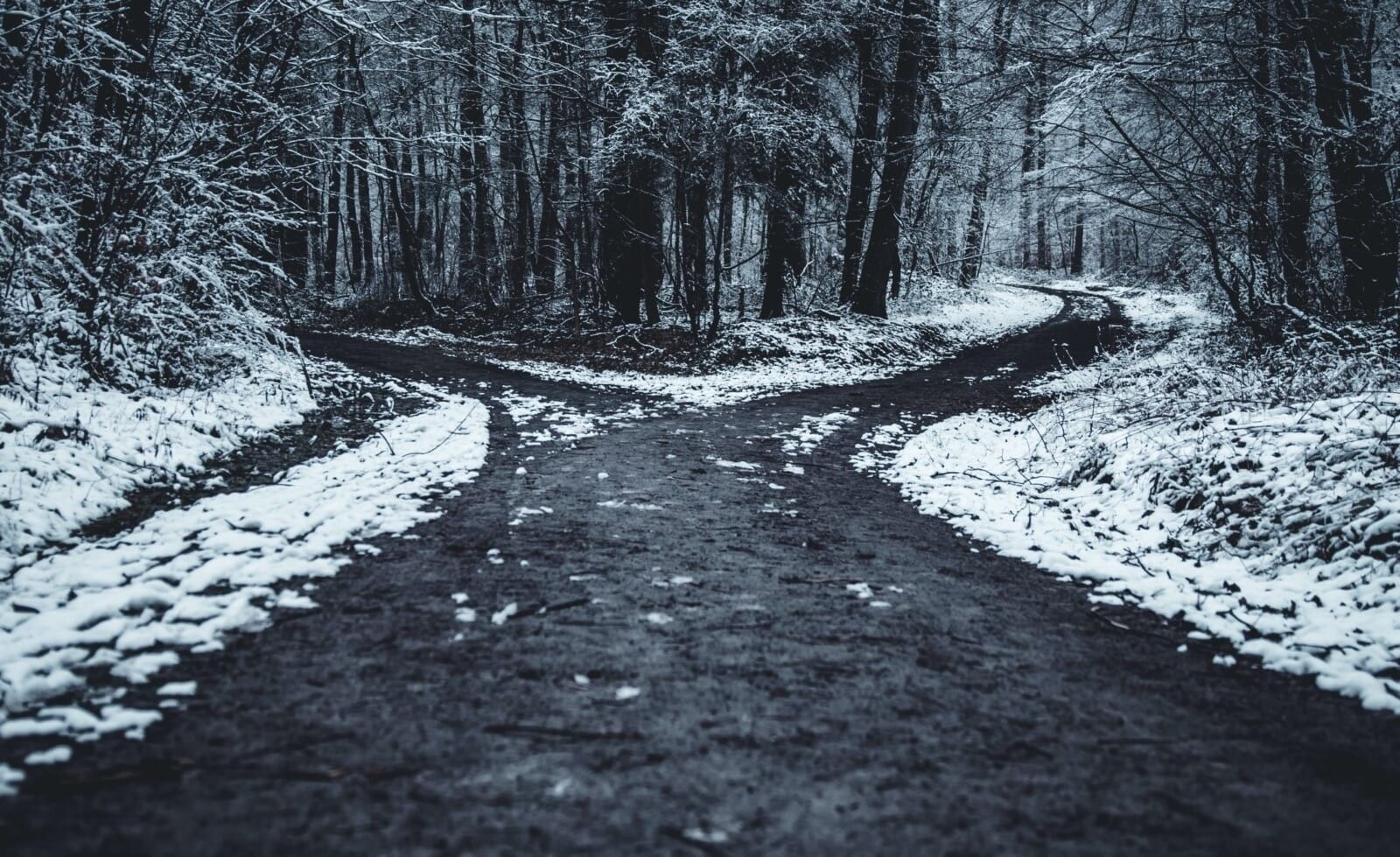 Are You Failing? You Might Be Obsessing Over Details and Using the Wrong Approach