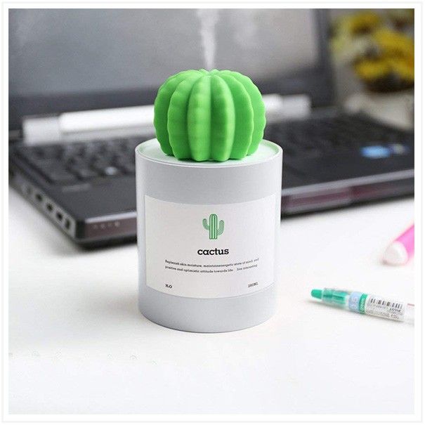 cactus-humidifer