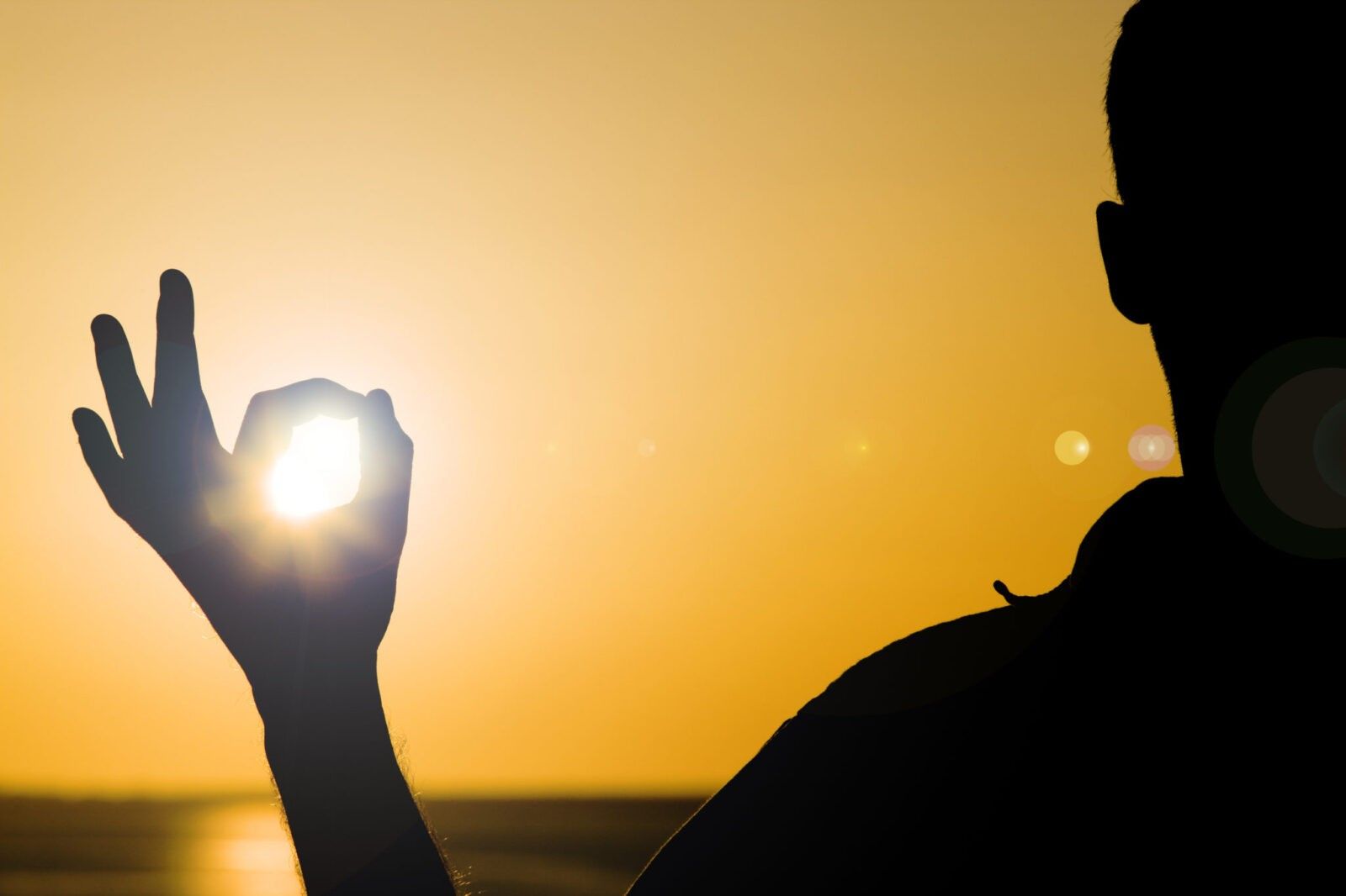 Fuel the Fire: The 5 Sparks of Motivation