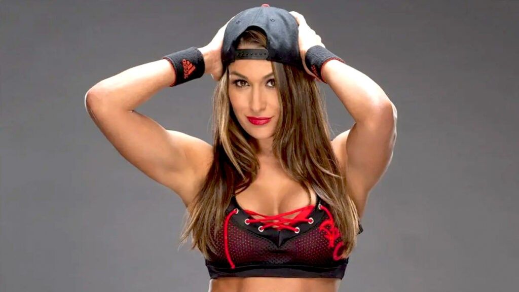Nikki bella poses in her wwe wrestling gear 1024x576