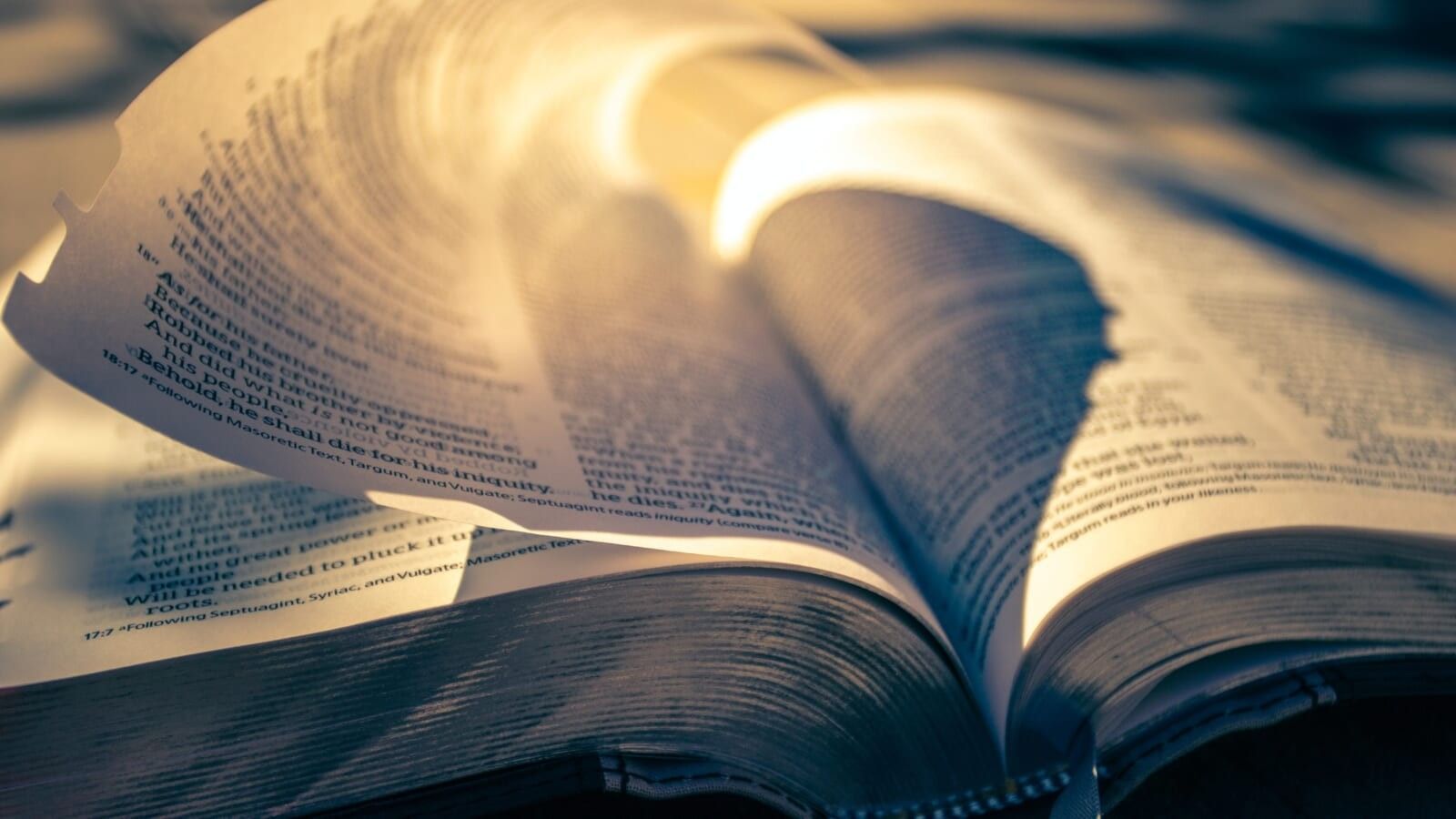 open bible in the sunlight