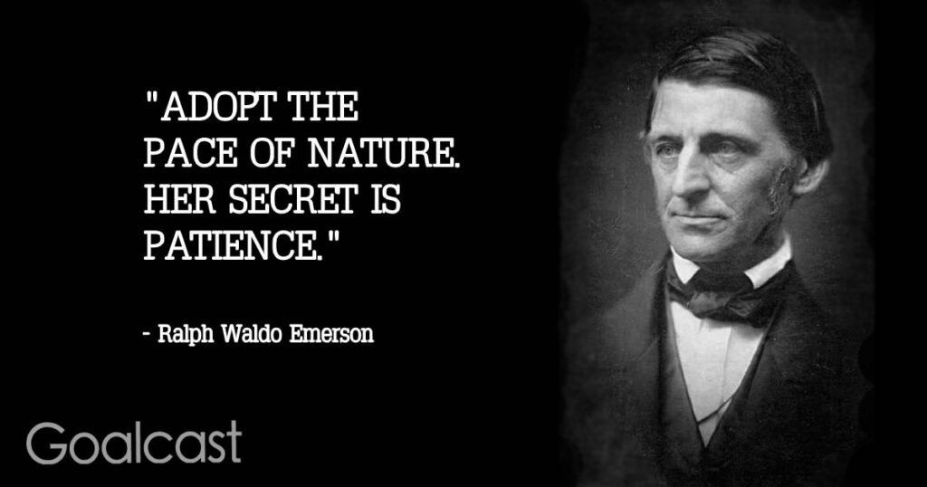 Nature quotes 1 1024x538