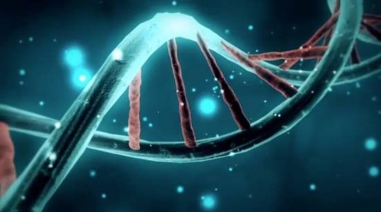 Richard Dawkins: We Are The Lucky Ones