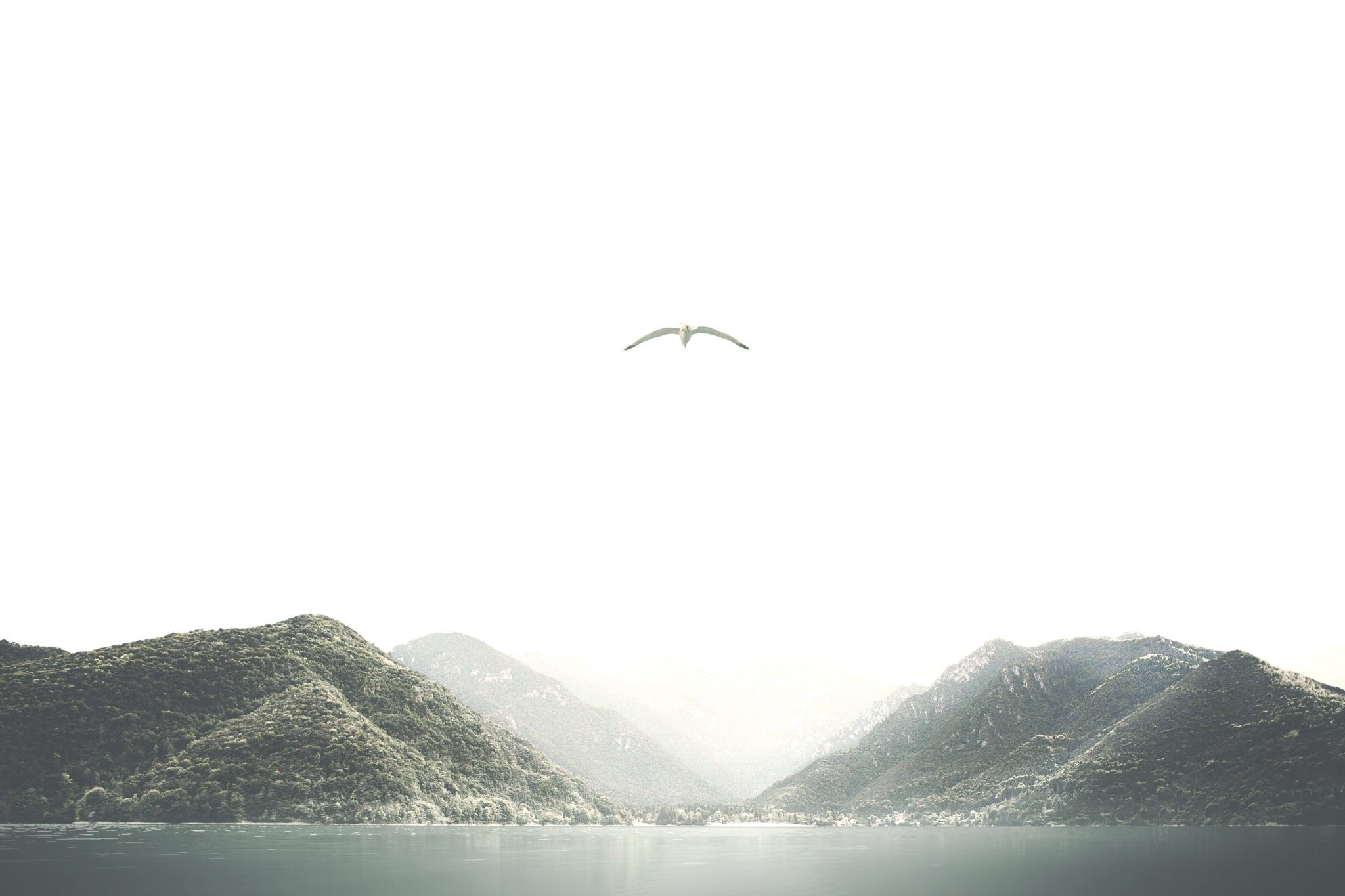 What Are You Willing to Sacrifice for Your Dreams?