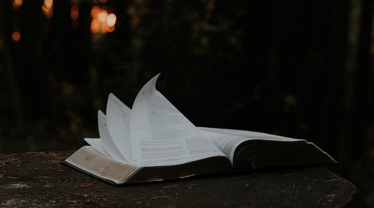 100 Quotes about Wisdom in Life, Love and Relationships