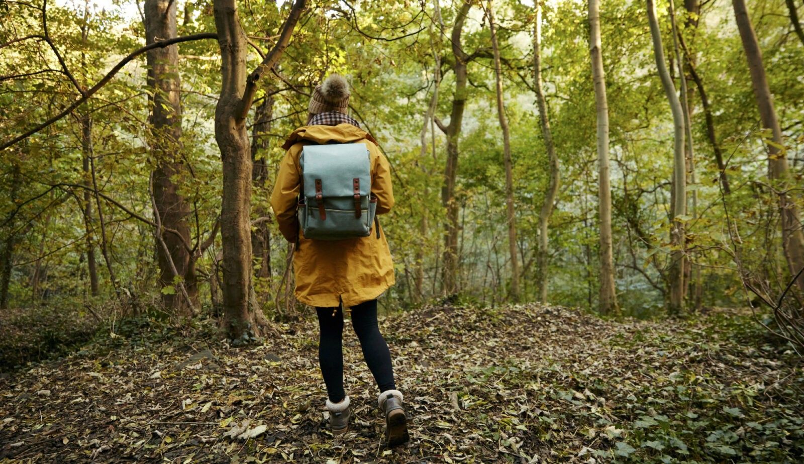 Forest Bathing: Boost Your Wellbeing with Mother Nature