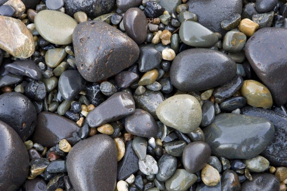 Does One Life Have More Value Than Another?