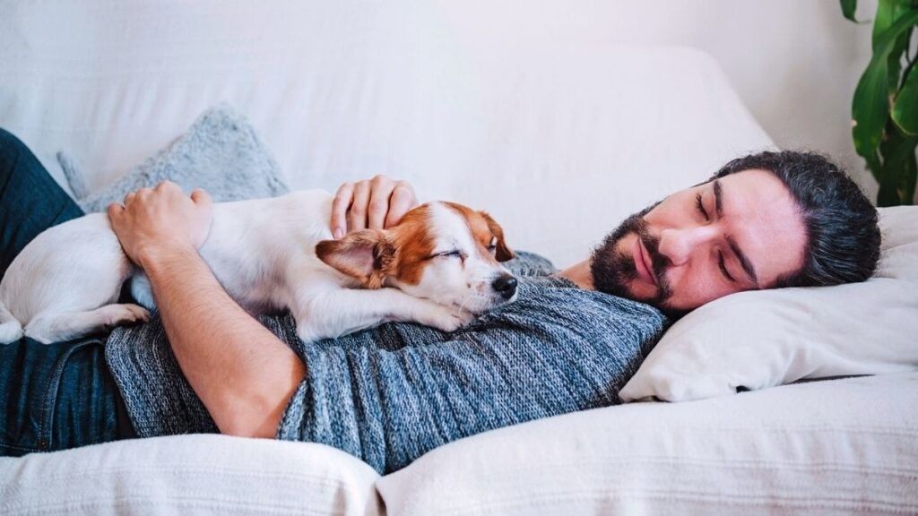 skills a person can have