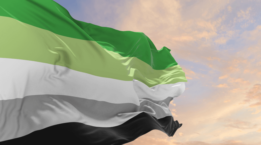 aromantic flag