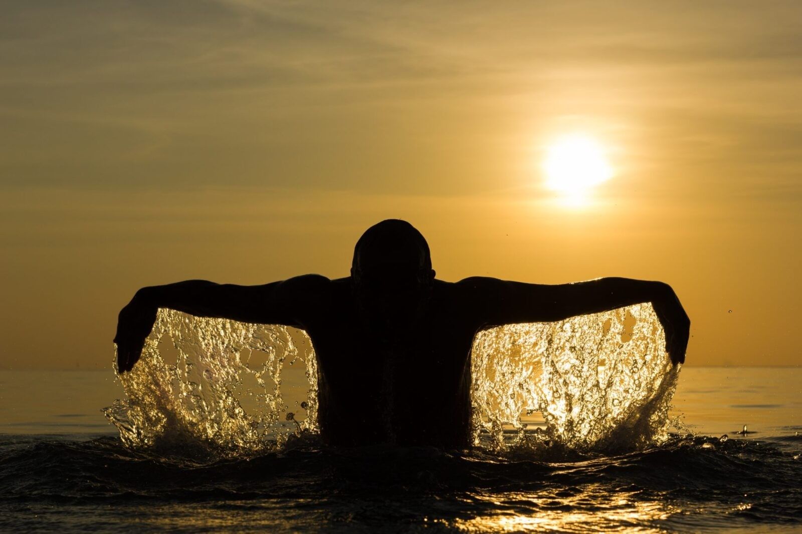 Legend of the Phoenix: 3 Ways to Rise Up from Rock Bottom