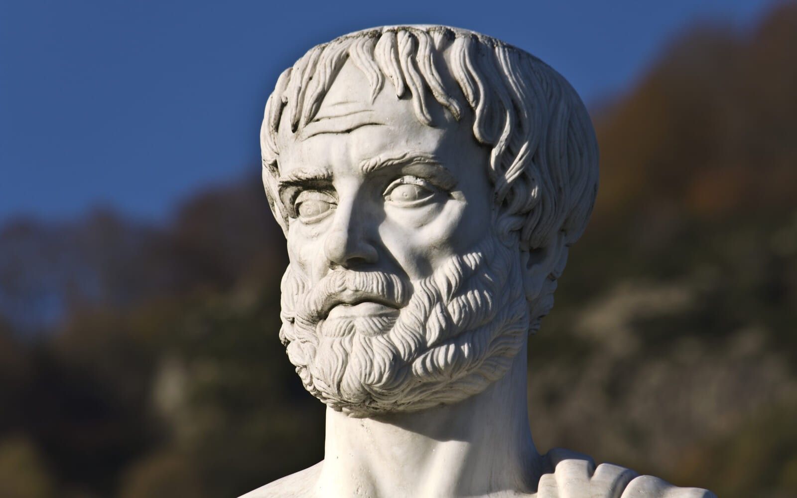 Feel Like You’ve Missed Your Shot at a Successful Life? Don’t Give Up Just Yet