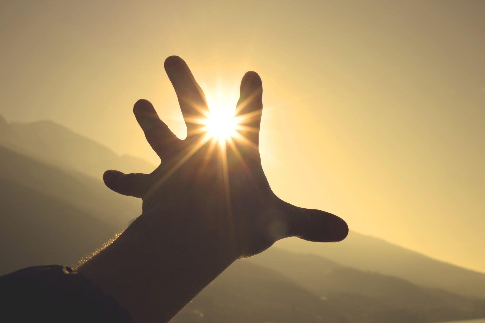 The Sacred 3 Findings of Life: The 1%, the Tribe and the System