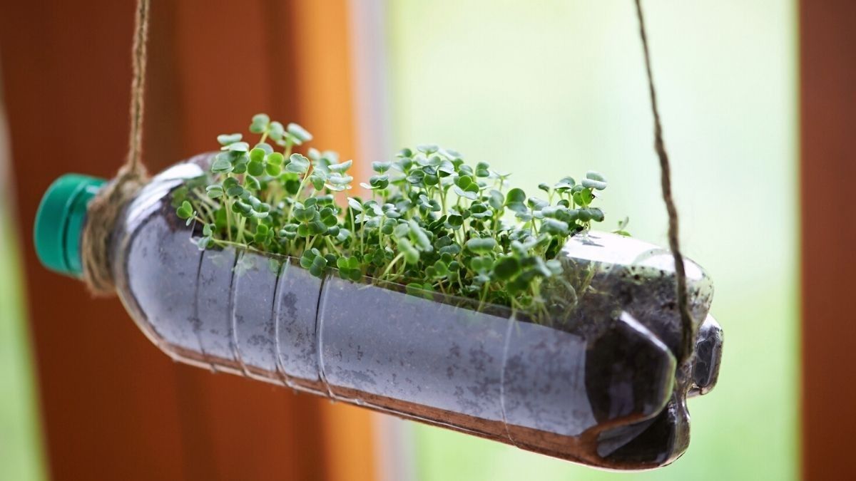 How to Live a More Sustainable Lifestyle