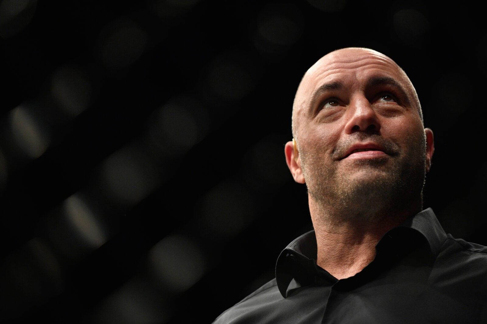 Joe Rogan's Secret to Success: Strategic Quitting
