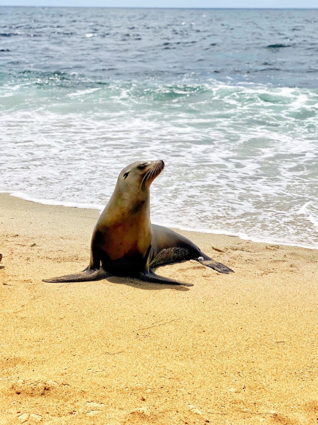 Maura mikhail ykroyeh0keu unsplash 1100x1467