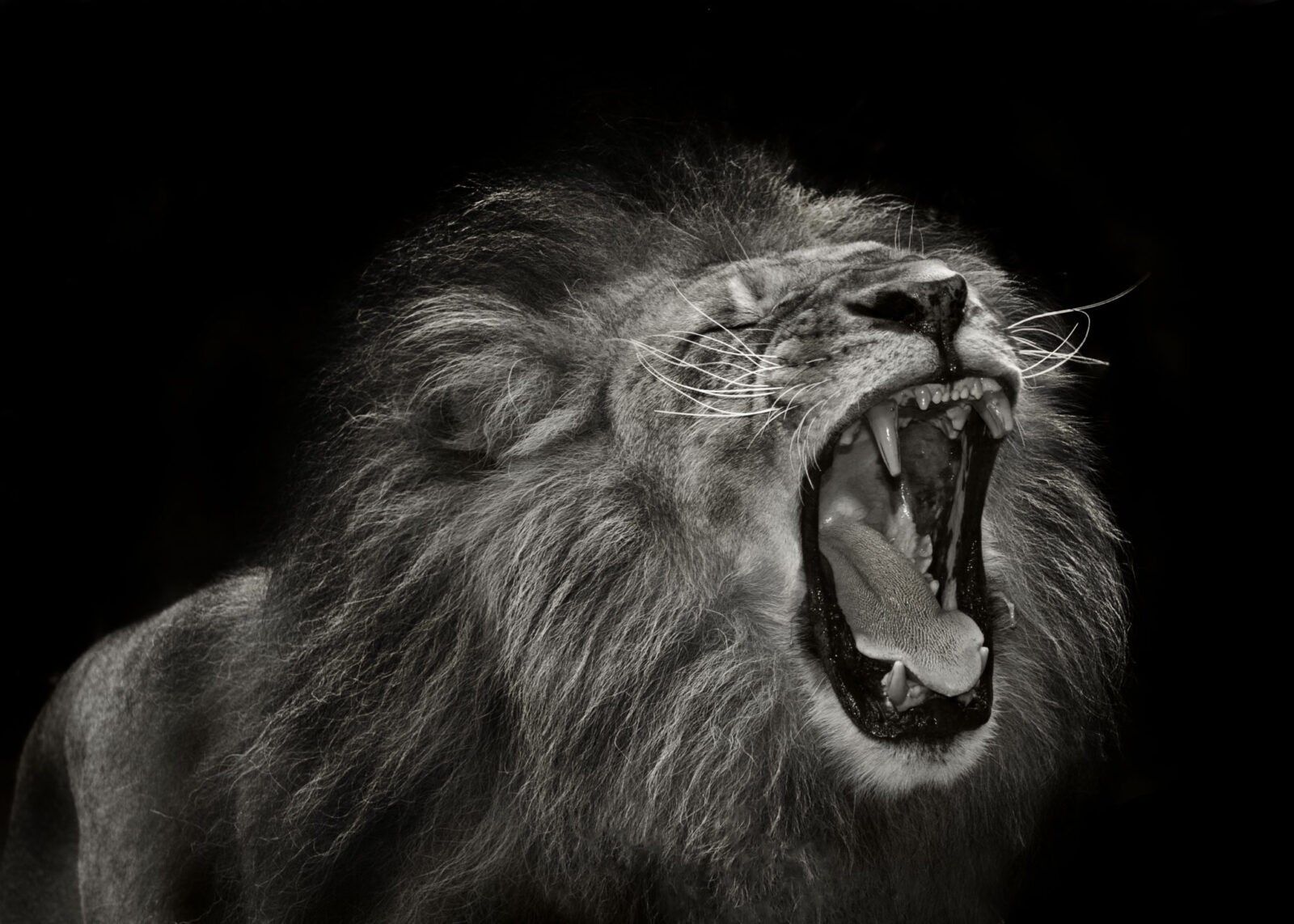 Women and Men Can Both Be Alphas (and Here's How)